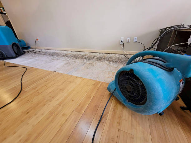 Professional Structural Drying technician working in Powell, TX